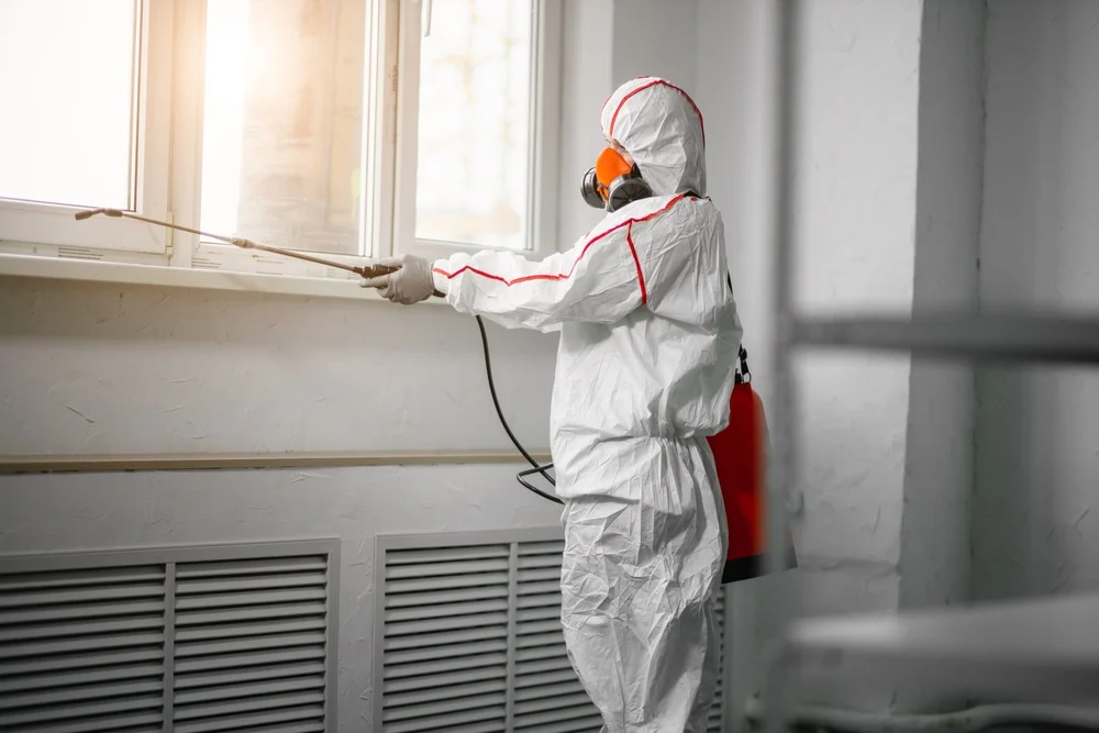 Professional mold remediation services in Kirtland Afb, NM